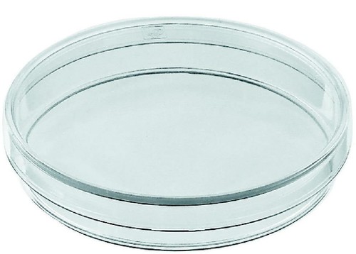 Large 200mm glass - glass, petri