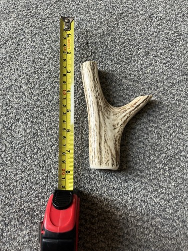 Deer elk antler dog chew - antler, treat