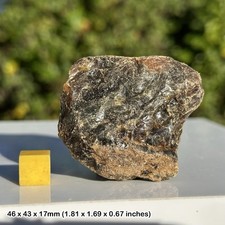 Amber Fossil Resin Sulawesi