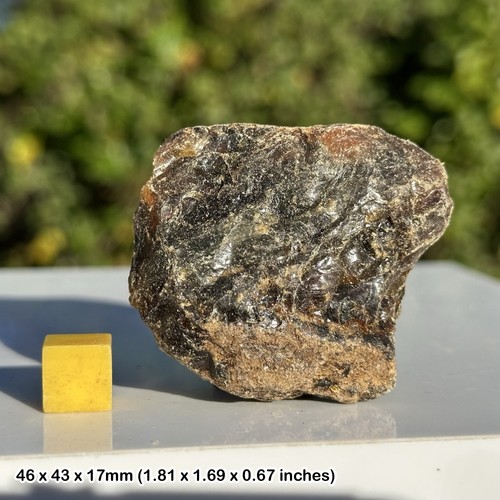Amber fossil resin sulawesi - fossil,