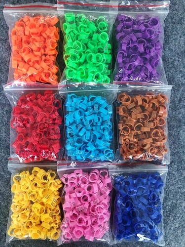100 numbered 8mm pigeon - 100,