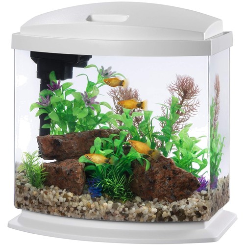 Led betta fish tank - tank, with