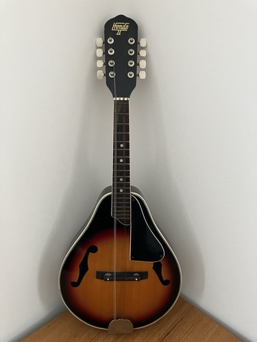 Vintage hondo mandolin - vintage, 2