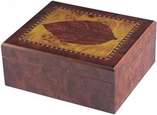 Cigar Humidor with Tobacco
