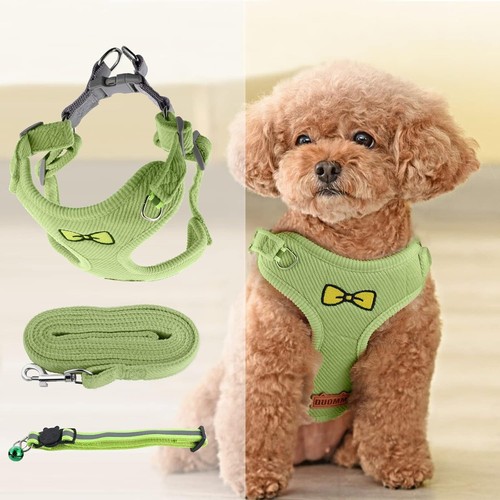 Puppy harness for - harness, small