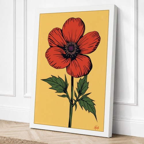 Red poppy study botanical - study,