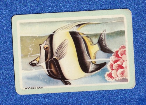 Vintage woolworths fish swap - fish,