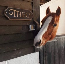 Horse Stable Name Plates, CNC Carved Wooden Personalised Stall Name Plaque Gifts