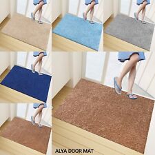 Non Slip Indoor Door Mats
