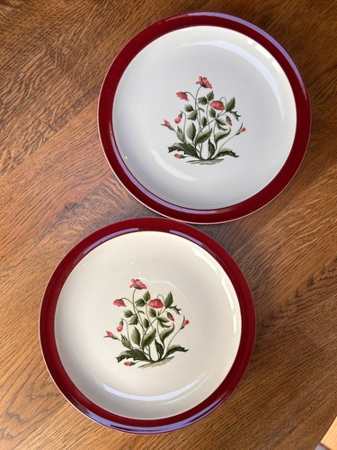Vintage wedgwood mayfield ruby - vintage,
