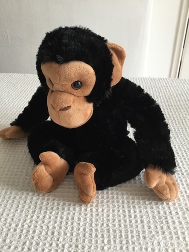 Ravensden monkey chimp ape - chimp,