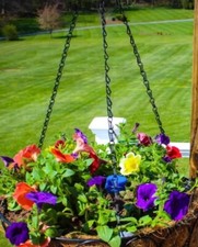 2 x Black Hanging Hook Basket