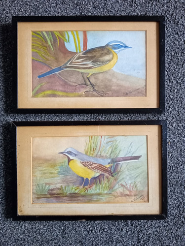 Vintage wagtail original - vintage,
