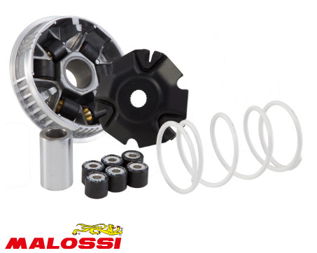 Malossi variator kit for - variator,