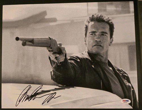 Arnold schwarzenegger the - arnold,