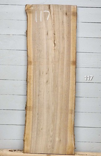 Elm live edge timber 1240mm - live,