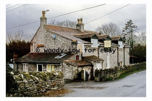 Pt9419 the fox - -, old