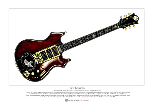 Jerry garcia tiger guitar - jerry,
