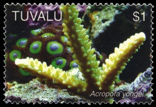 Tuvalu 1004 marine corals - tuvalu,