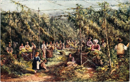 Kent hop picking - pc,