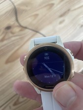 Garmin Watch Fenix 5S Sapphire
