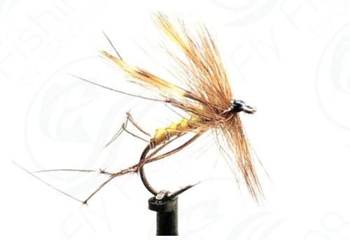 Daddy long legs - daddy, trout