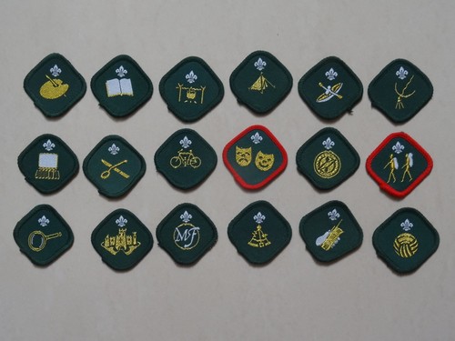 Scout proficiency badges - scout,