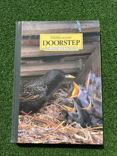 Wildlife your doorstep - wildlife, on
