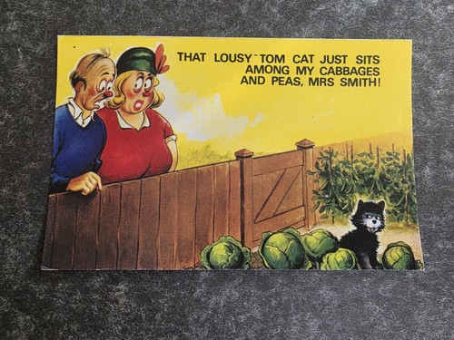 Vintage bamforth saucy seaside - vintage,