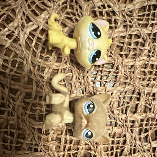 Littlest pet shop lps cat - pet,