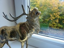 Antique Brass Stag on wooden plinth.