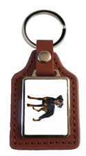Doberman Dog Pet Brown Leather