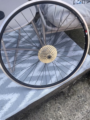 Comp 700c rear wheel disc - comp,