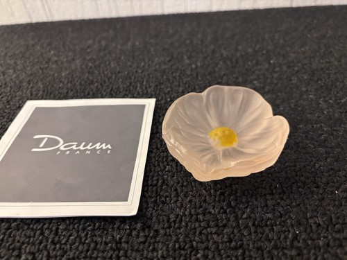 Daum france rose cactus flower - daum,
