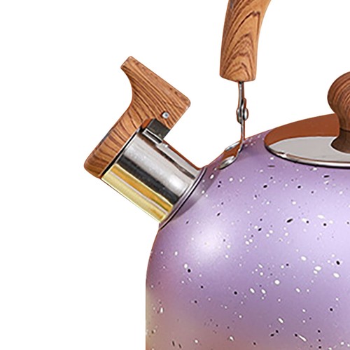 New stainless steel kettle - stainless,