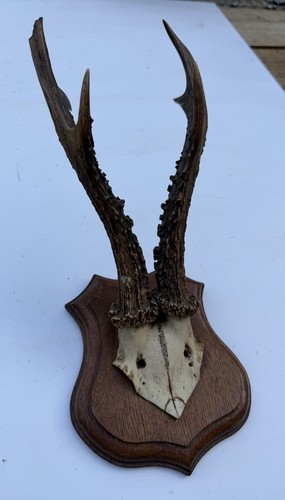 Lovely antique wall mounted - antique,