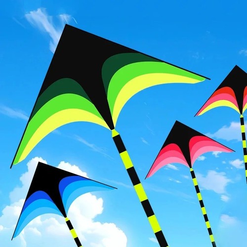 Large delta kite - kite, kids