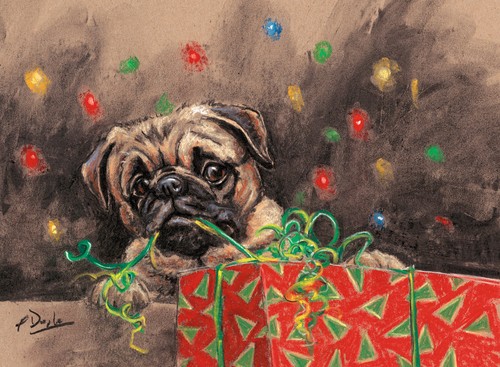 Pug and present - and, christmas