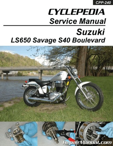 1986 2019 suzuki - 1986-2019,