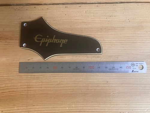 Epiphone thunderbird bass - epiphone,