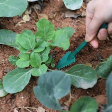  Starter For HomeIndoor And