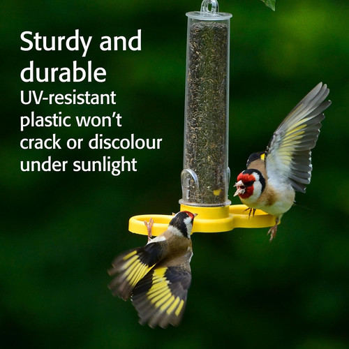 Niger seed bird - bird, feeders