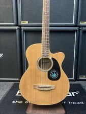 Cheetah Electro/Acoustic Bass Guitar (Read description)