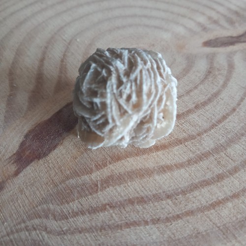 Desert rose gypsum - rose, selenite