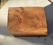 Burr/ Pippy Elm block