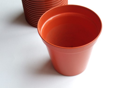 Nos 10cm terracotta - 22,