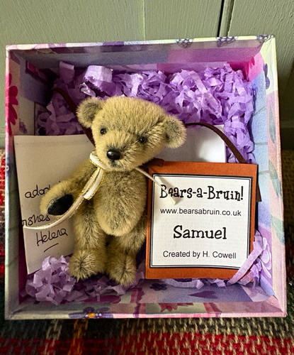 Bears bruin samuel - samuel, artist