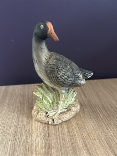 Moorhen figurine ornament bird - figurine,