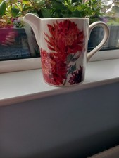 Emma Bridgewater Garden