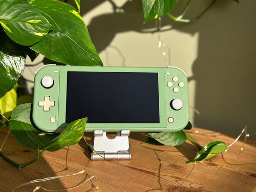 Custom nintendo switch lite - custom,